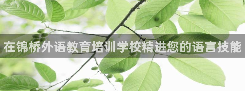 ag8九游会j9登录入口